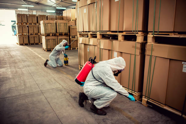 Best Wildlife Control Services  in Wapello, IA