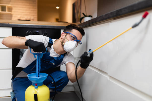 Best Mosquito Control Services  in Wapello, IA