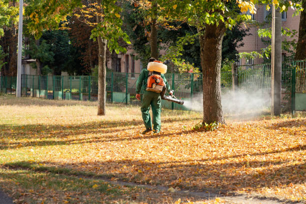 Best Best Pest Control Companies  in Wapello, IA