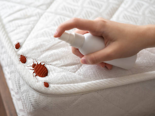 Best Emergency Pest Control  in Wapello, IA