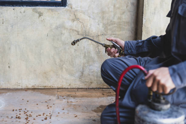 Best Flea Control Services  in Wapello, IA